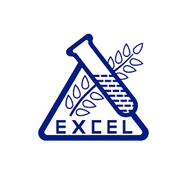 excel-logo